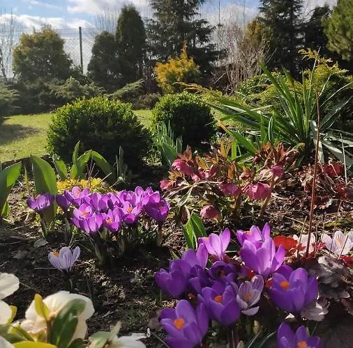 Royal - Adults Only - Z Widokiem Na Zalew Wislany-grupa Plazowelove Aparthotel 3*