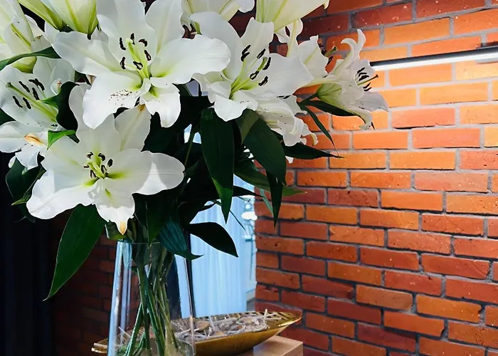 Aparthotel Royal - Adults Only - Z Widokiem Na Zalew Wislany-grupa Plazowelove Krynica Morska